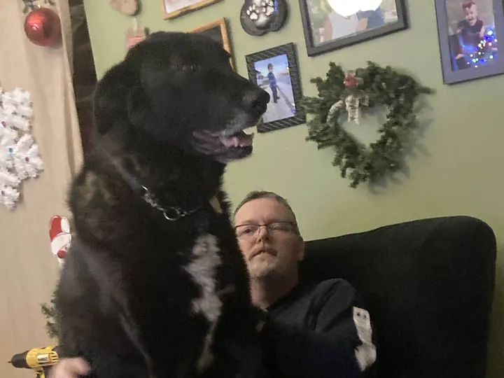 A photo of Wilbur, memory 50