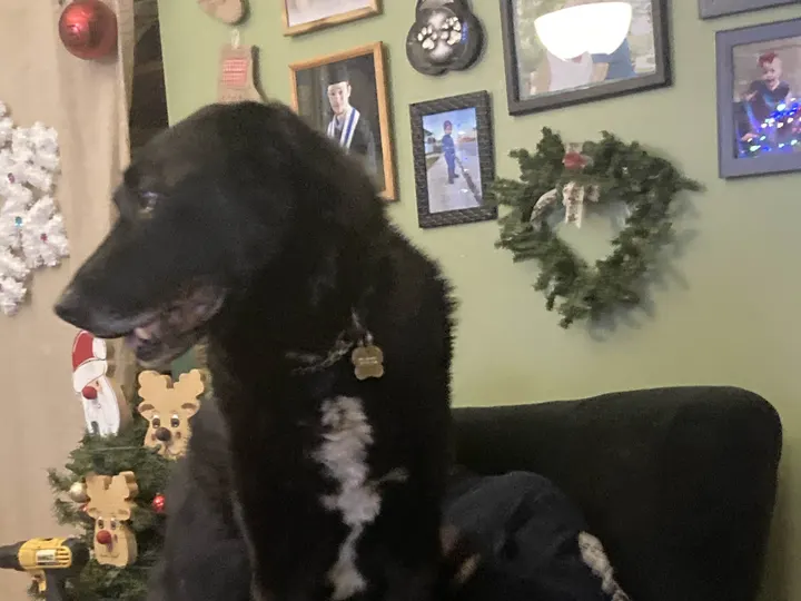A photo of Wilbur, memory 48