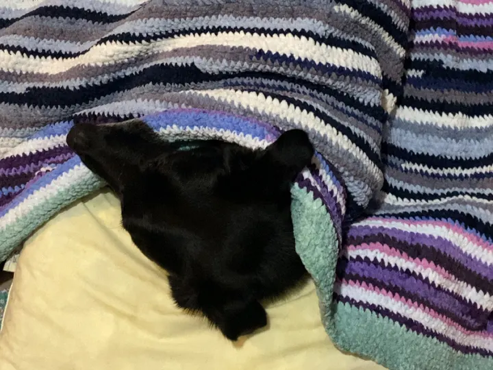 A photo of Wilbur, memory 32