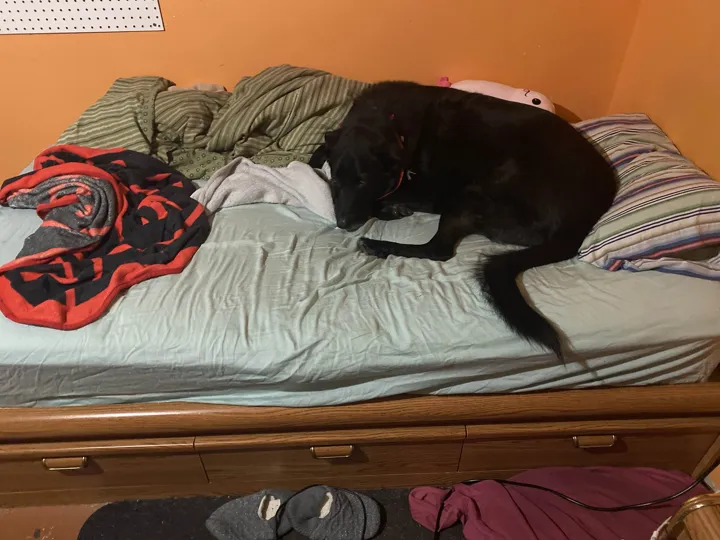 A photo of Wilbur, memory 21