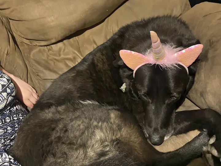 A photo of Wilbur, memory 27