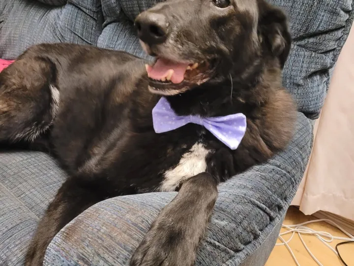A photo of Wilbur, memory 30